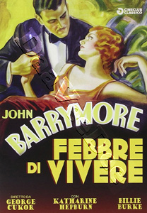 A Bill of Divorcement (DVD)